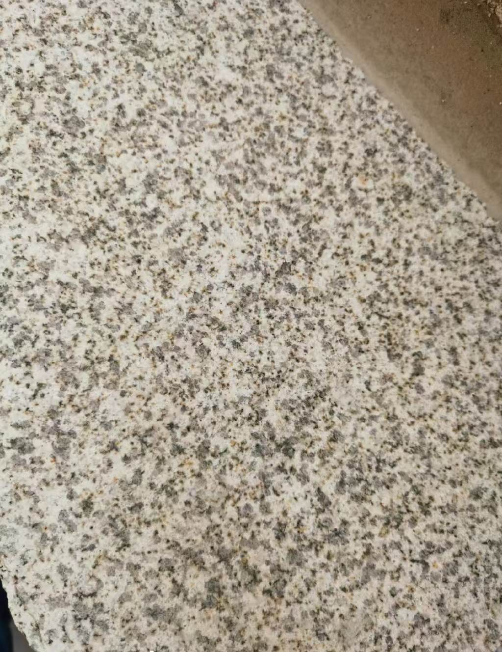 武汉 黄金麻中黄光面